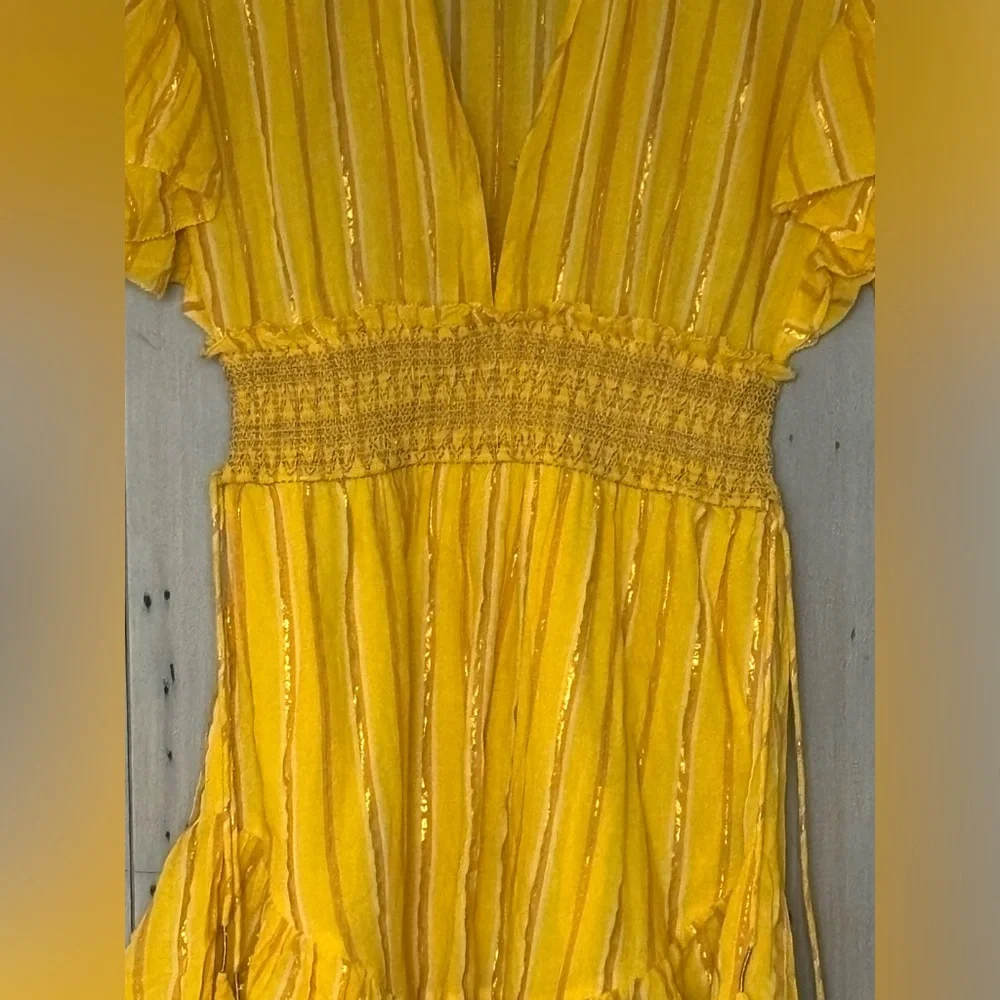 Saylor Adrianne Ruffle-Sleeve Mini Dress - Picture 4 of 15